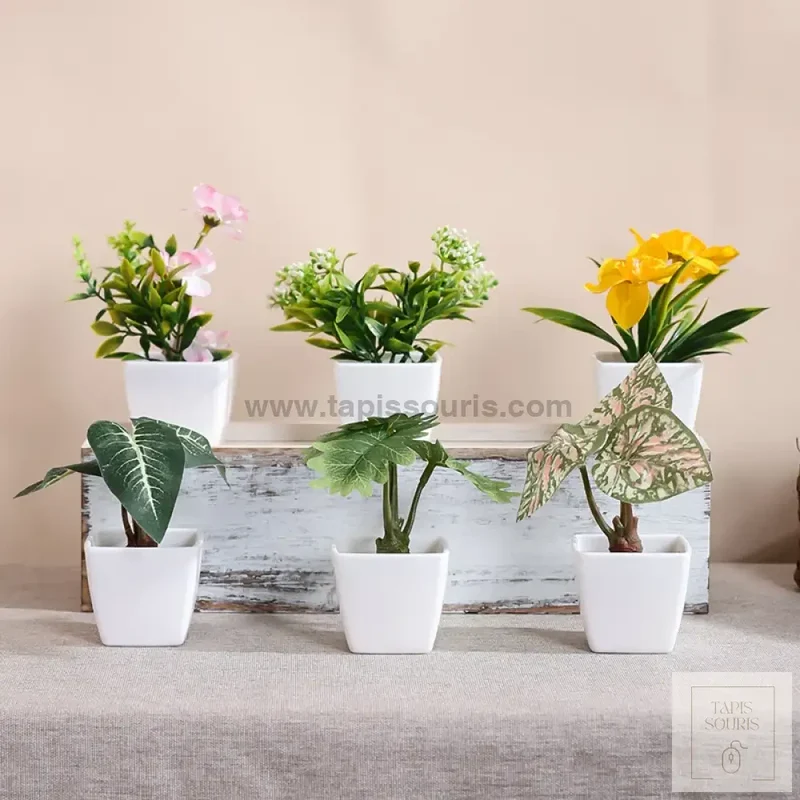 Plante Bureau