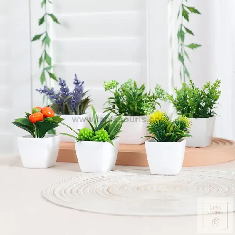 Plante Bureau