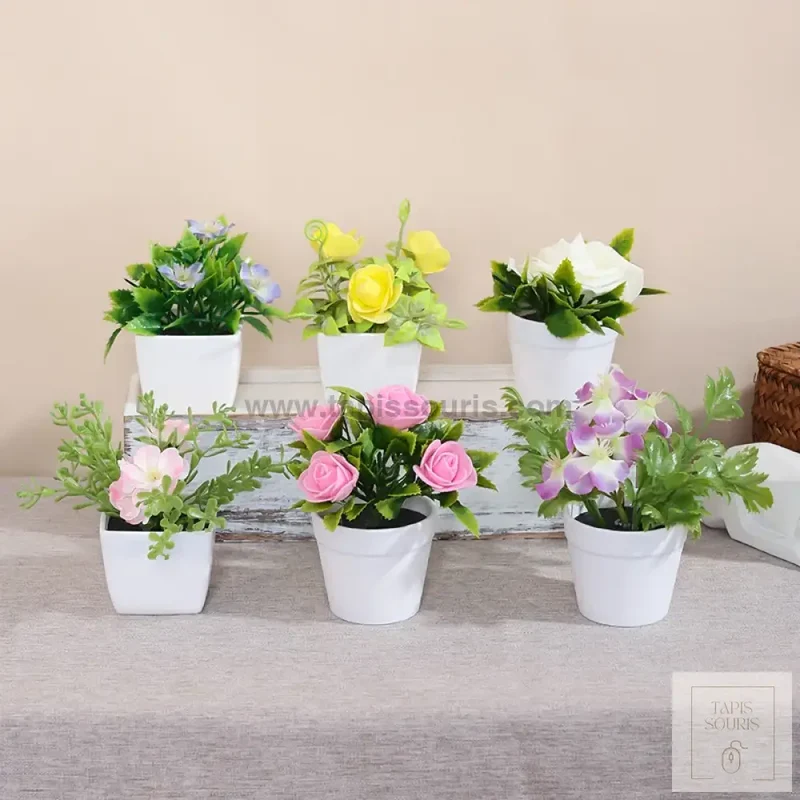 Plante Bureau