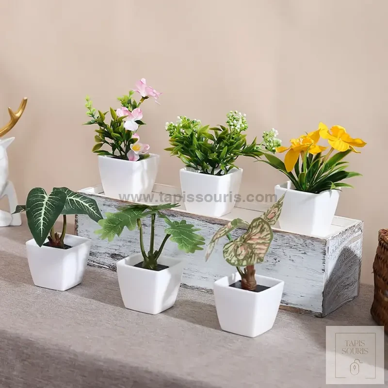 Plante Bureau