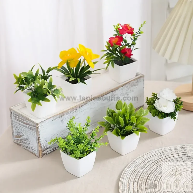 Plante Bureau