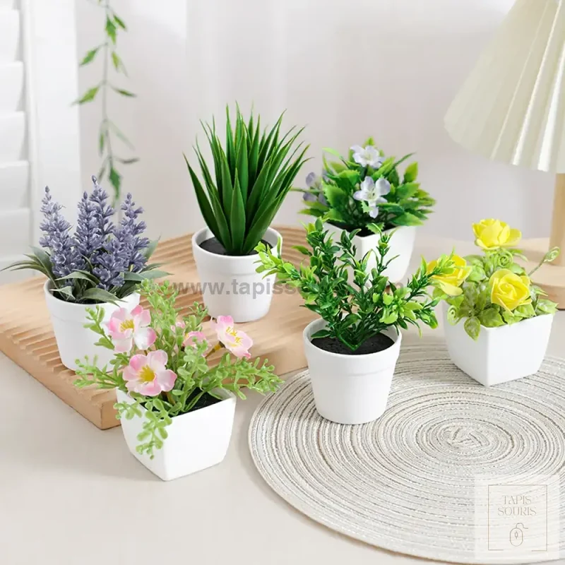 Plante Bureau