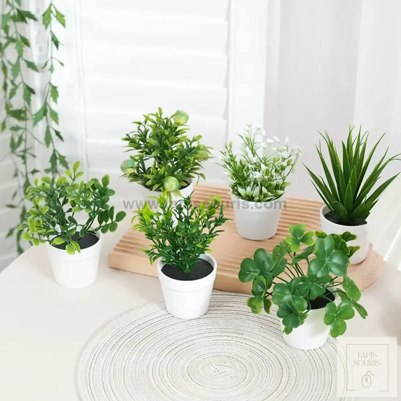 Plante Bureau