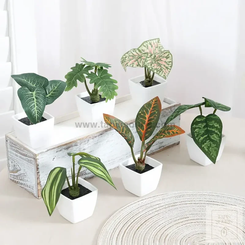 Plante Bureau