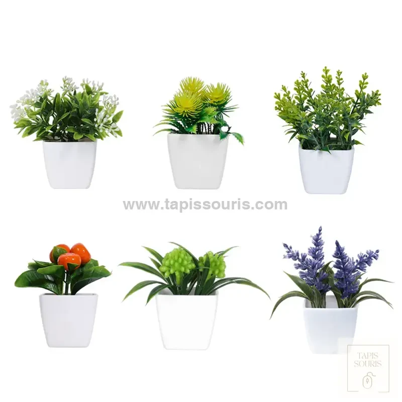 Plante Bureau