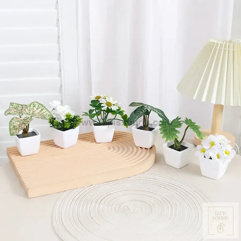 Plante Bureau