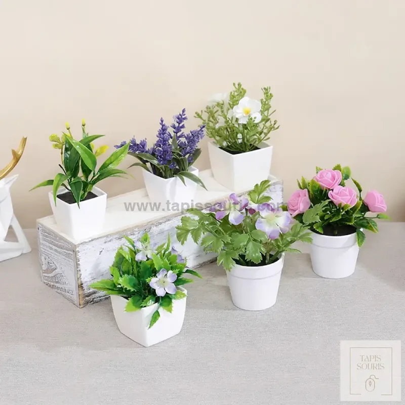 Plante Bureau