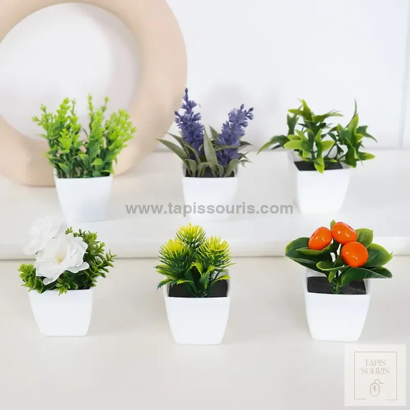 Plante Bureau