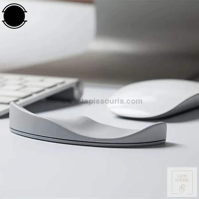 Souris Repose Poignet