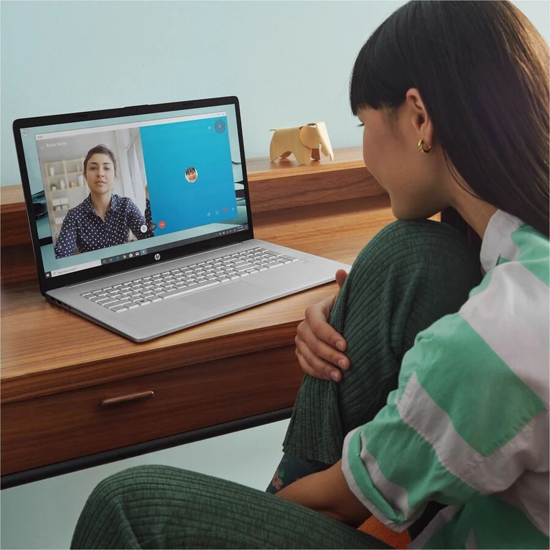 Ordinateur portable HP 17-c3000 17-cn3010ca 17.3" - Full HD - Intel Core i5 13e génération i5-1335U - 8 Go - SSD 1 To - Argent naturel 7P9W1UA#ABL
