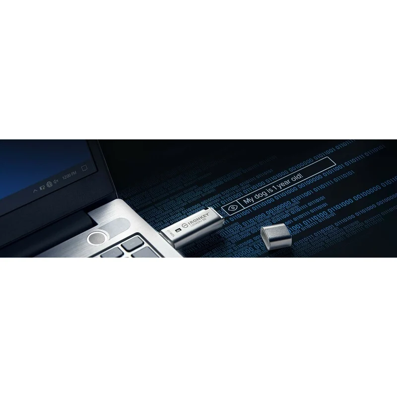 Clé USB IronKey Locker+ 50 IKLP50/128 Go