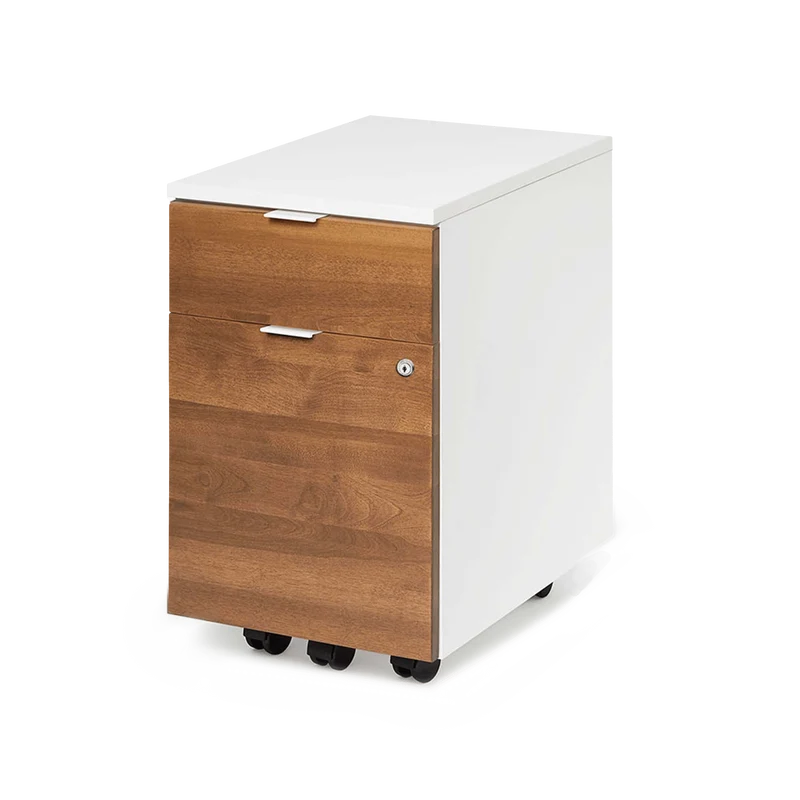 Almost Perfect Neat Filing Cabinet
