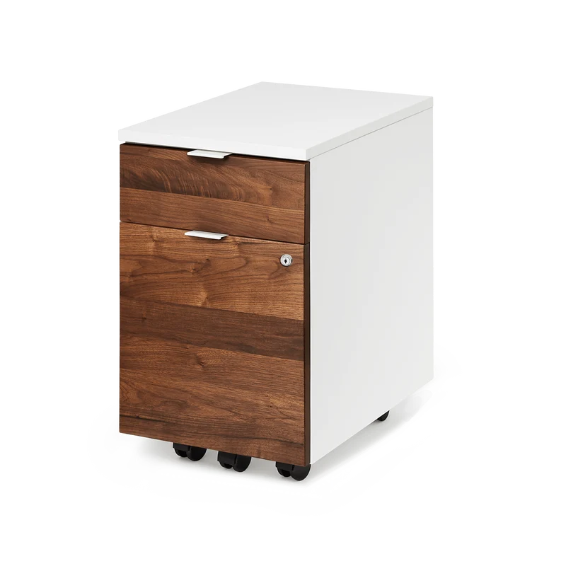 Almost Perfect Neat Filing Cabinet