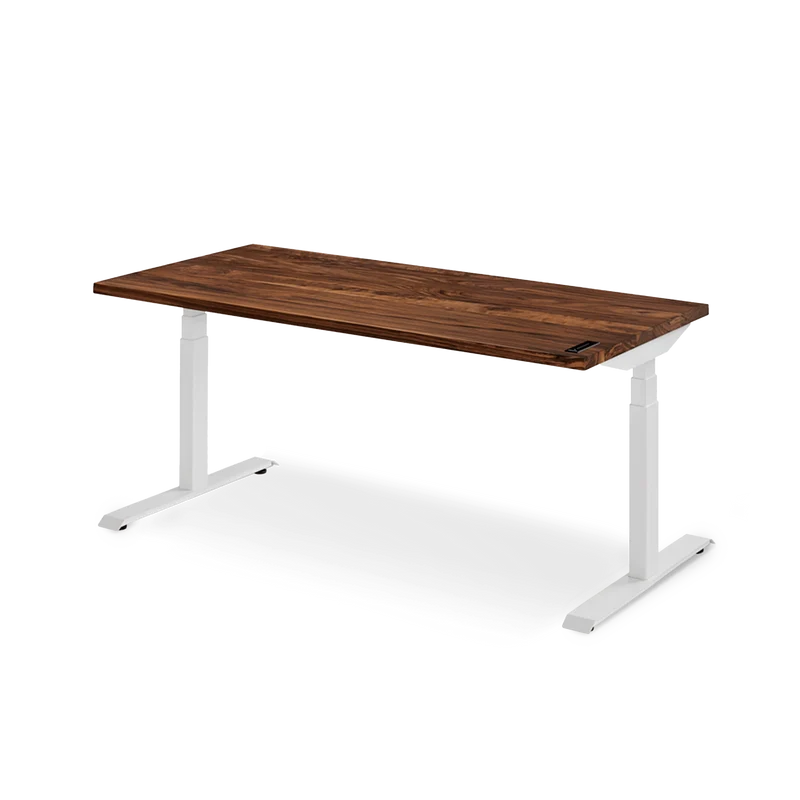 The Sway Standing Desk