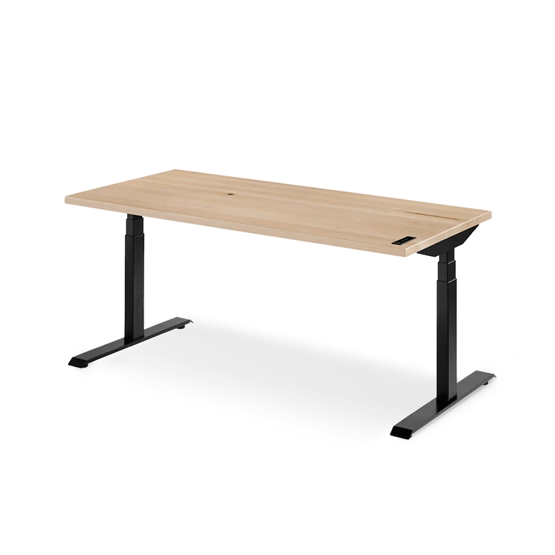 The Sway Standing Desk