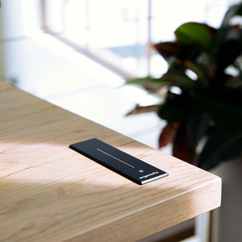 The Sway Standing Desk