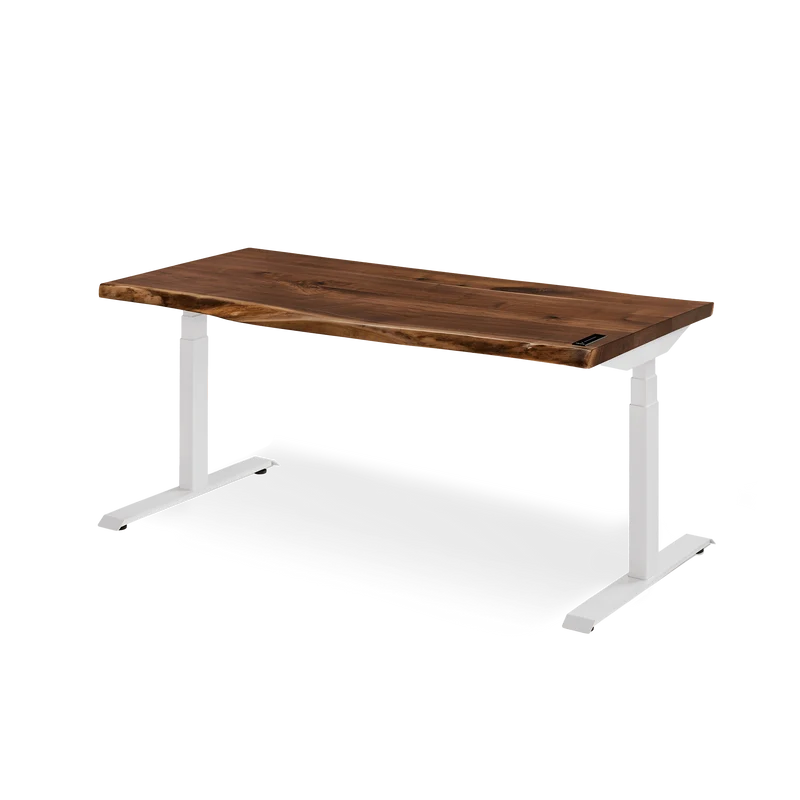 The Alive Standing Desk