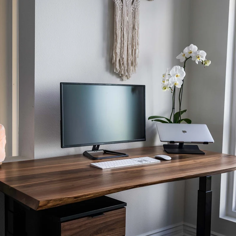 The Alive Standing Desk