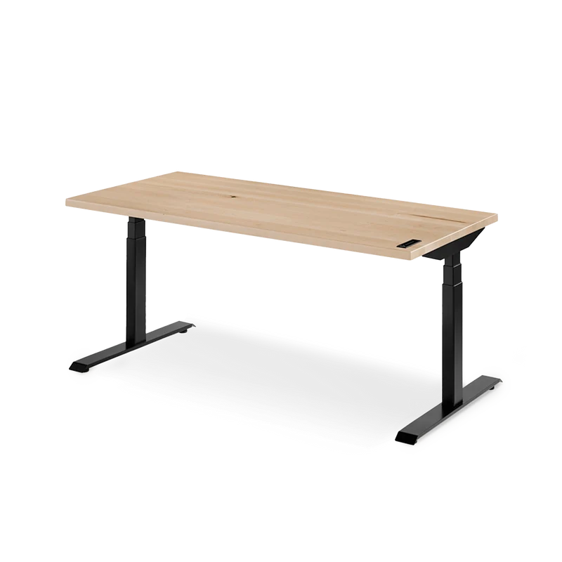 Sway Standing Desk