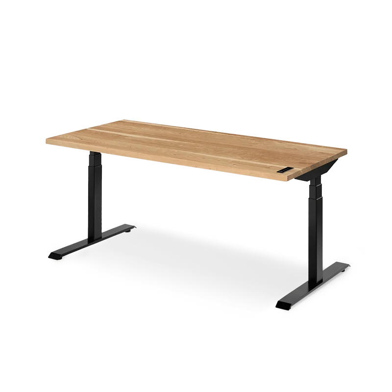 Sway Standing Desk
