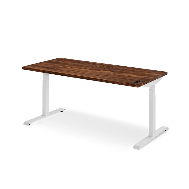 Sway Standing Desk