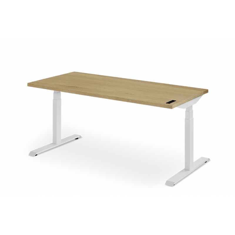 Sway Standing Desk