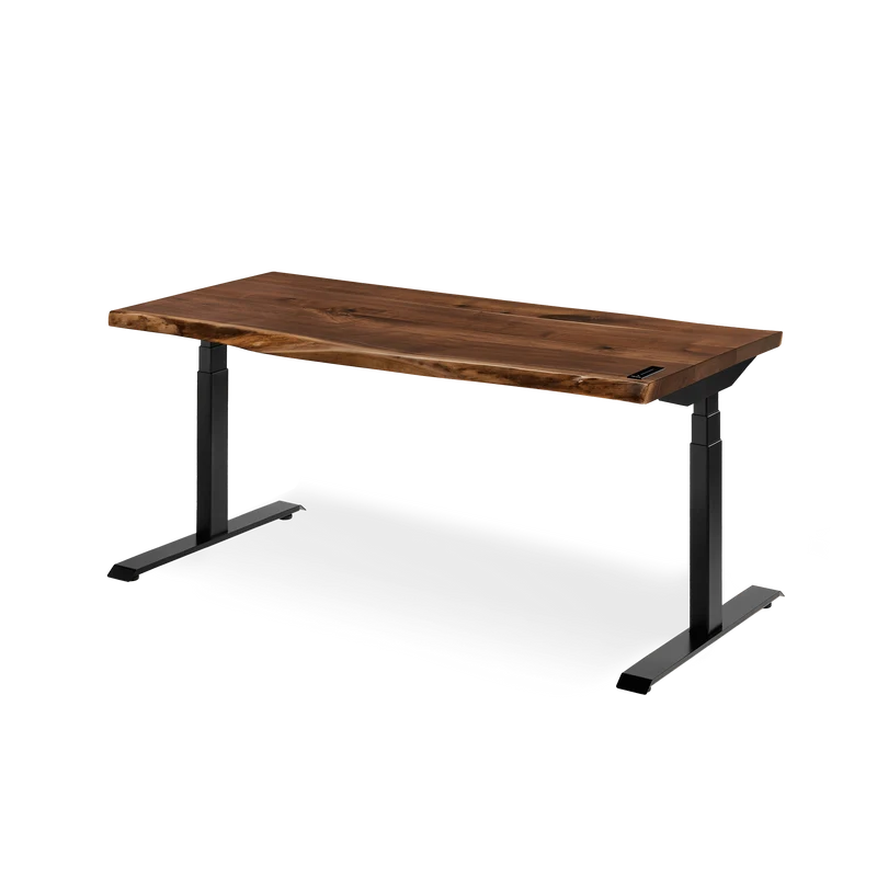 Alive Standing Desk
