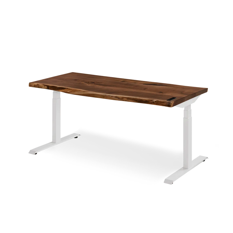 Alive Standing Desk