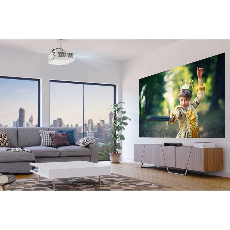 Projecteur LED ViewSonic X1 - Format 16:9 - Bureau, fixation au plafond - Blanc X1