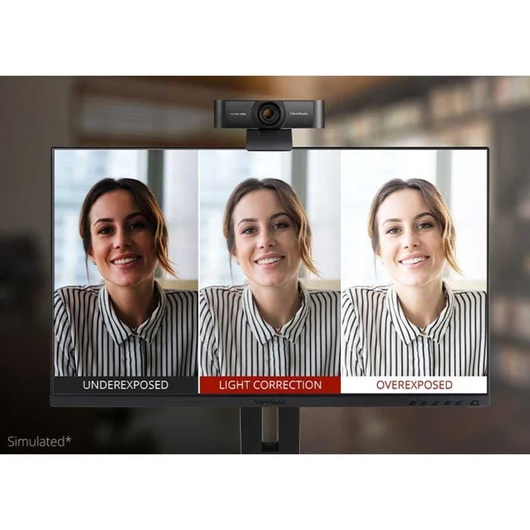 Webcam ViewSonic VB-CAM-001 - 2.1 mégapixels - 30 images/s - Noire - USB 2.0