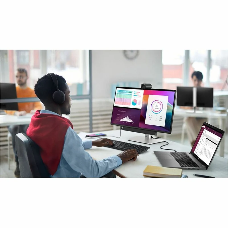 Moniteur LED Full HD Dell P2425H 24 pouces - Format 16:9 - Noir et argent