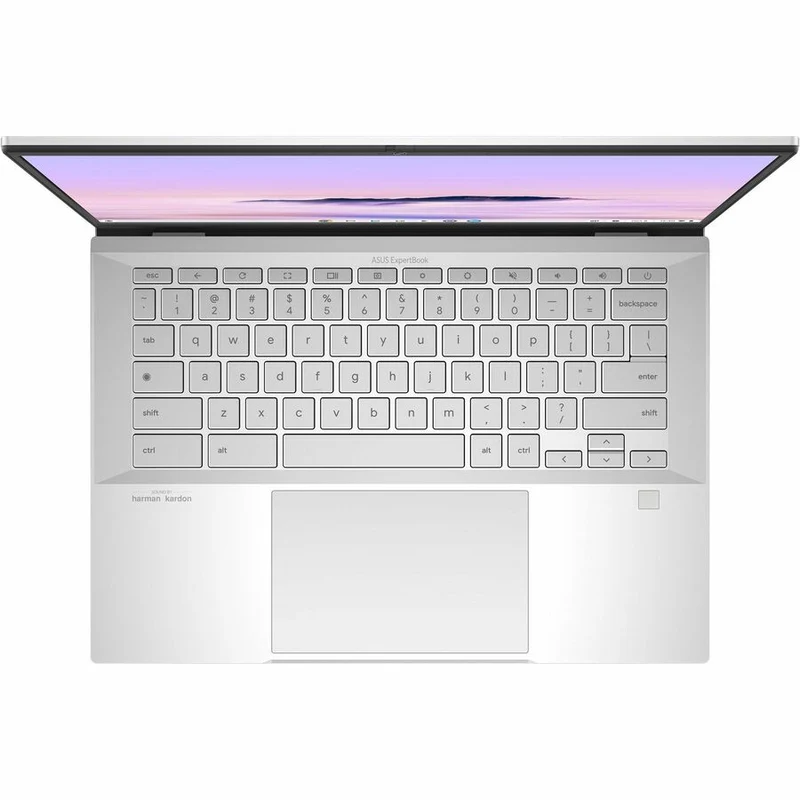 Asus ExpertBook CB54 Chromebook Plus CB5403 CB5403CMA-C5ENT-CA Chromebook tactile 14" - WQXGA - Intel Core Ultra 5 115U - 16 Go - SSD 512 Go - Argent brouillard CB5403CMA-C5ENT-CA