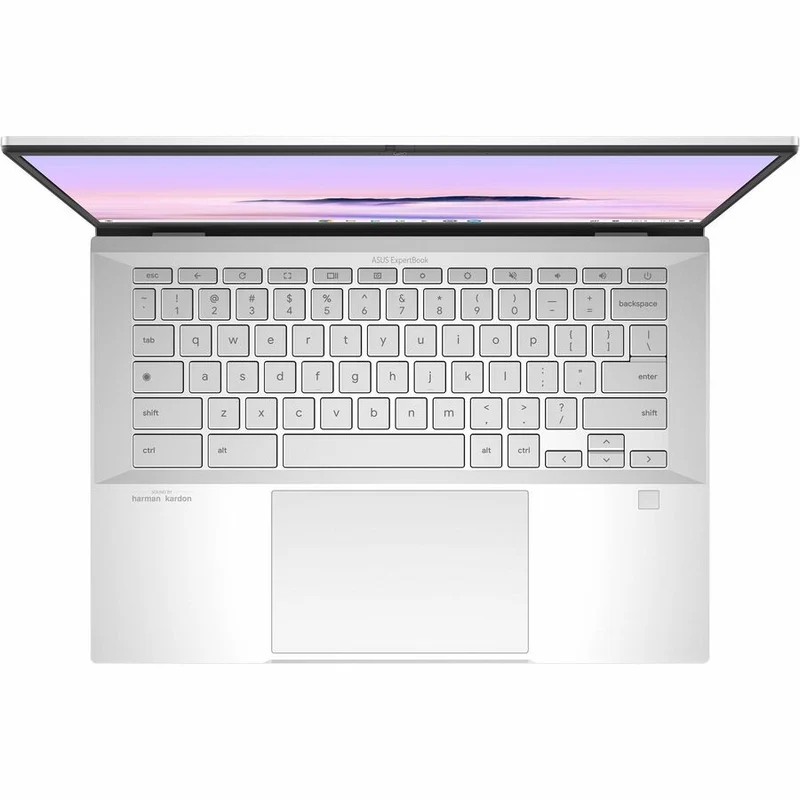 Asus ExpertBook CX54 Chromebook Plus Enterprise CX5400 CX5403CMA-DSU51T-CB Chromebook tactile 14" - WQXGA - Intel Core Ultra 5 115U - 16 Go - SSD 512 Go - Clavier anglais et français - Argent brouillard CX5403CMA-DSU51T-CB