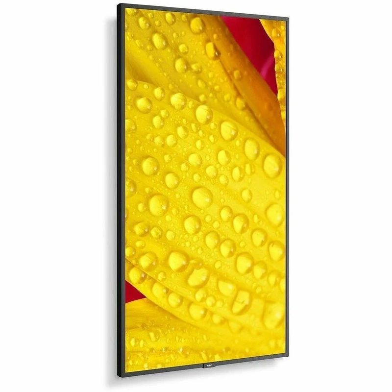 Écran professionnel ultra haute définition Sharp NEC Display 65" M651-2