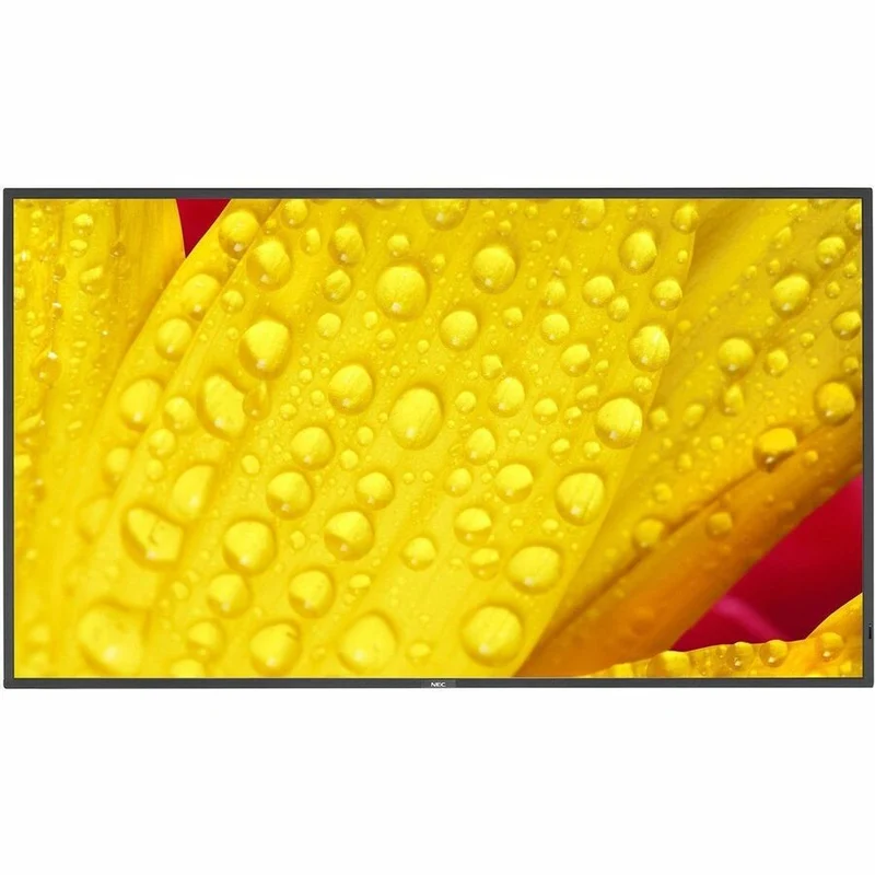 Écran professionnel ultra haute définition Sharp NEC Display 65" M651-2
