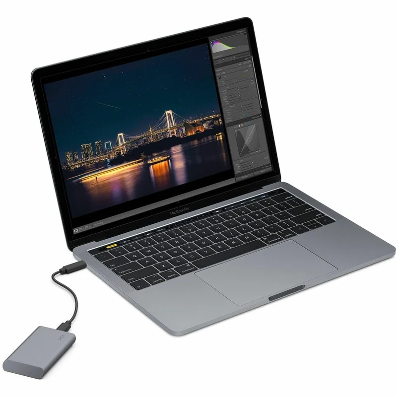 Disque SSD portable LaCie Secure 500 Go - Externe 2.5" STKH500800
